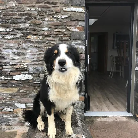 Old Irish Dingle