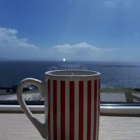 Lantgård Old Irish *