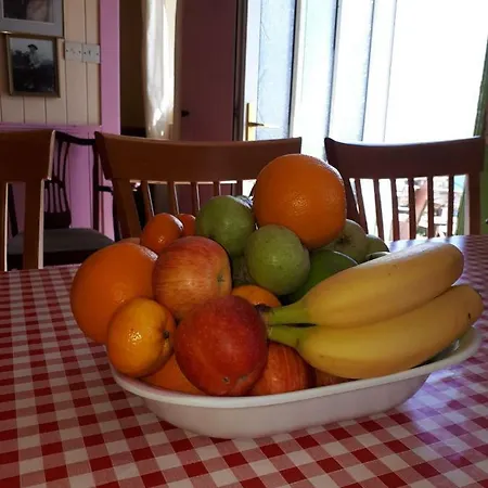 Lantgård Old Irish Dingle