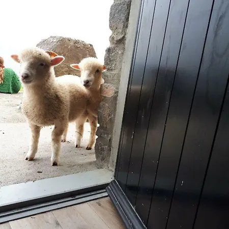 Farm stay Old Irish