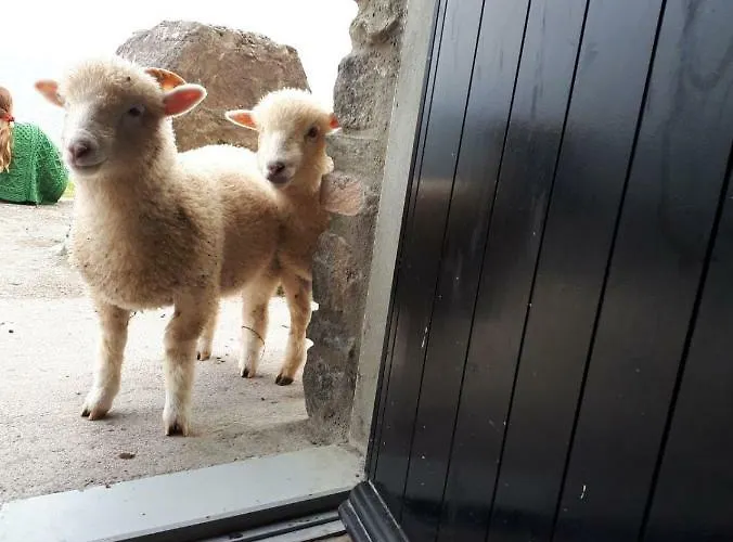 Çiftlik konaklama Old Irish